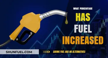 Fuel Prices Surge: Analyzing the Recent Increase and Its Impact