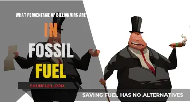 Fossil Fuel Fortunes: Analyzing Billionaires' Dominance in the Industry