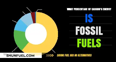 Canada's Energy Mix: Fossil Fuels' Dominance and Percentage Breakdown