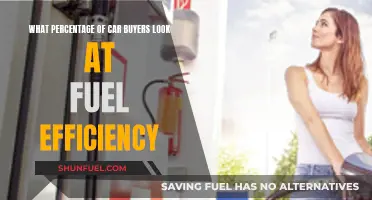 Fuel Efficiency: A Priority for Car Buyers?