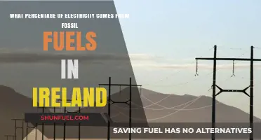 Ireland's Energy Mix: Fossil Fuels' Role in Electricity Generation