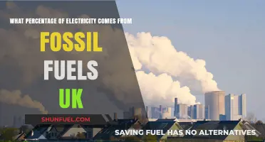 UK's Energy Mix: Fossil Fuels' Dominance in Electricity Generation
