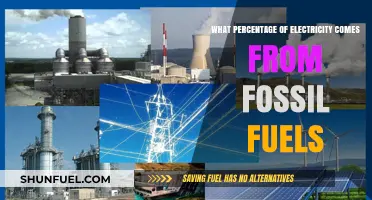 Fossil Fuels' Electricity Generation Share