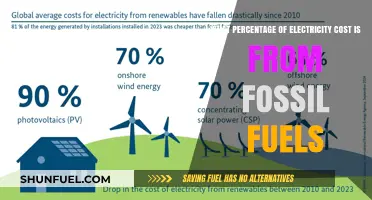 Fossil Fuels' Impact: Uncovering Their Share in Electricity Costs