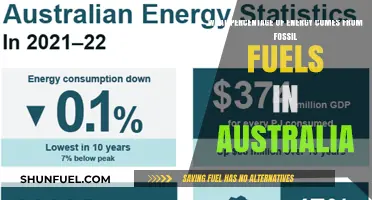 Australia's Energy Mix: Fossil Fuels Dominance and Percentage Breakdown