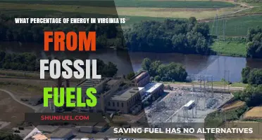 Virginia's Energy Mix: Fossil Fuels' Dominance and Percentage Breakdown