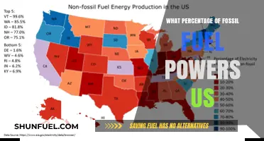 Fossil Fuel Dominance: Unveiling Its Percentage in Global Energy Supply