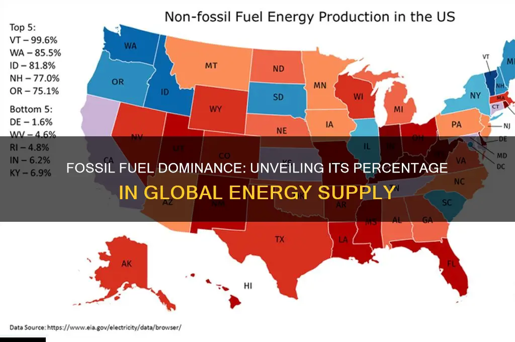 what percentage of fossil fuel powers us