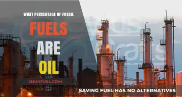 Understanding Oil's Dominance: Its Share in Global Fossil Fuel Reserves