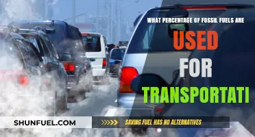 Transportation's Fossil Fuel Dependency: Uncovering the Percentage Used