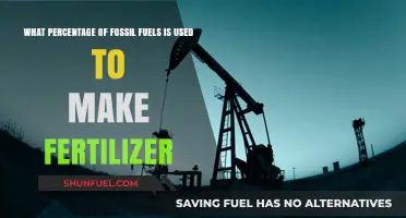 Fossil Fuels in Fertilizer Production: Uncovering the Energy Dependency