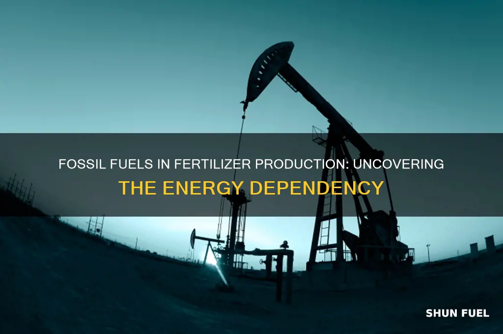 what percentage of fossil fuels is used to make fertilizer