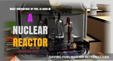 Understanding Fuel Consumption in Nuclear Reactors: Percentage Breakdown
