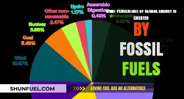 Fossil Fuels: Powering the World, But for How Long?
