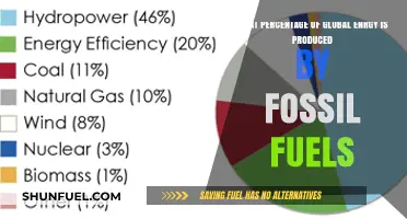 Fossil Fuels' Grip on Global Energy Production
