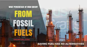 Iran's Energy Mix: Fossil Fuels Dominance and Percentage Breakdown