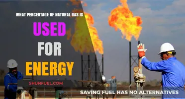 Exploring Natural Gas: A Key Player in Global Energy Mix
