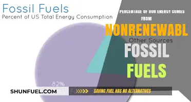 Fossil Fuels Dominance: Analyzing Nonrenewable Energy Sources in Global Consumption