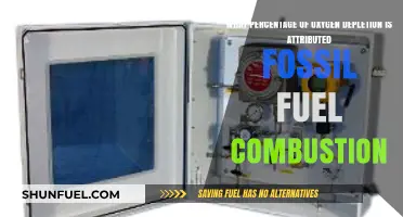 Fossil Fuel Combustion's Role in Global Oxygen Depletion Percentage