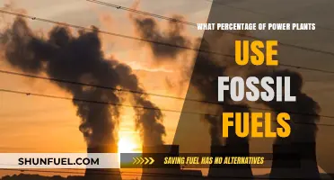 Fossil Fuels Dominance: Power Plants' Reliance on Non-Renewable Energy
