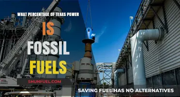 Texas Energy Mix: Fossil Fuels' Dominance in Lone Star Power