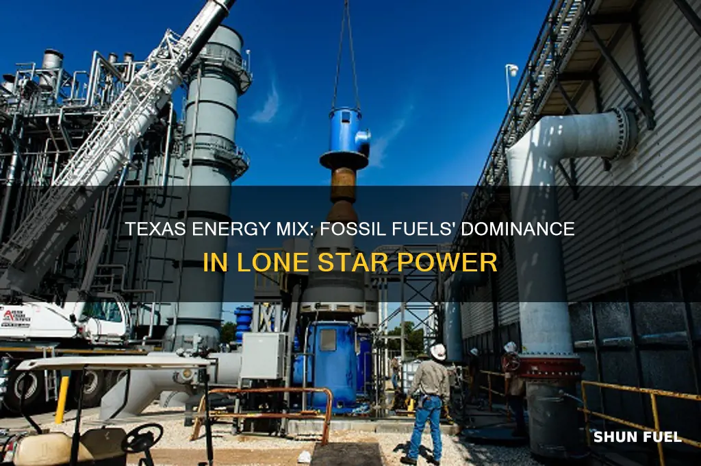 what percentage of texas power is fossil fuels