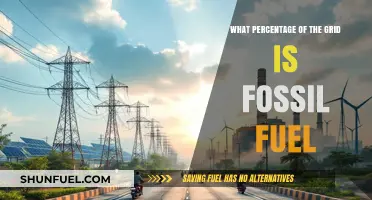 Fossil Fuels Dominance: Analyzing Their Percentage in Today's Energy Grid