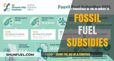 Fossil Fuel Subsidies: Analyzing Their Share in the US Budget