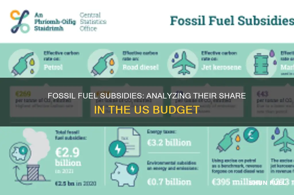 what percentage of the us budget is fossil fuel subsidies