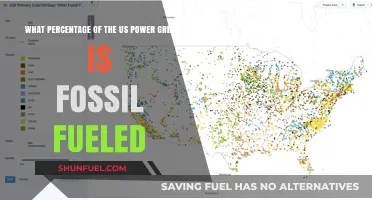 Fossil Fuels' Dominance: Analyzing Their Share in the US Power Grid