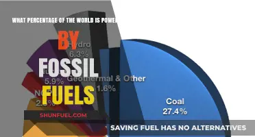 Fossil Fuels Dominance: Global Energy Reliance in Percentage