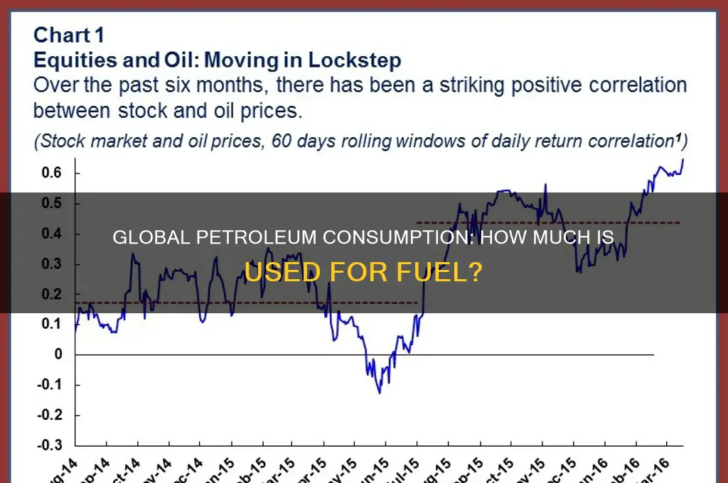 what percentage of the worlds petroleum is used for fuel