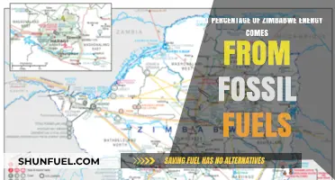 Zimbabwe's Energy Mix: Fossil Fuels Dominance and Sustainability Challenges