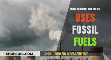 Fossil Fuels Dominance: Understanding US Energy Consumption Trends