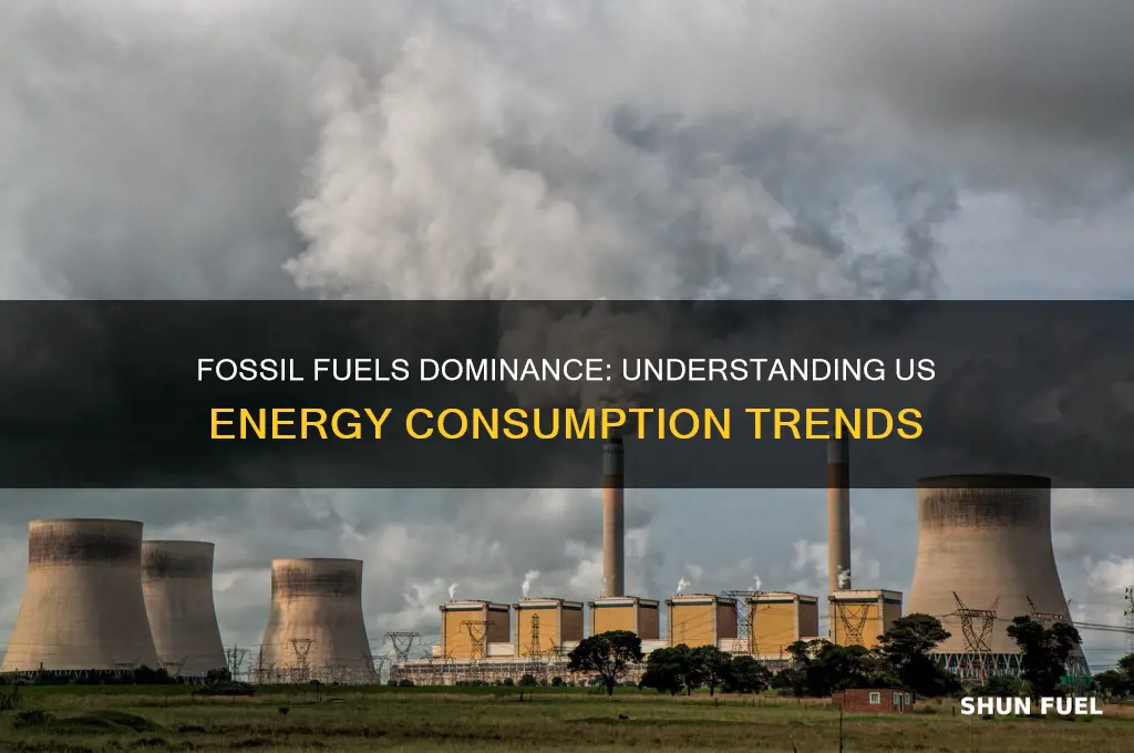 what perecnrt odf the us uses fossil fuels