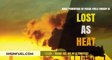 How Much Fossil Fuel Energy is Wasted as Heat?
