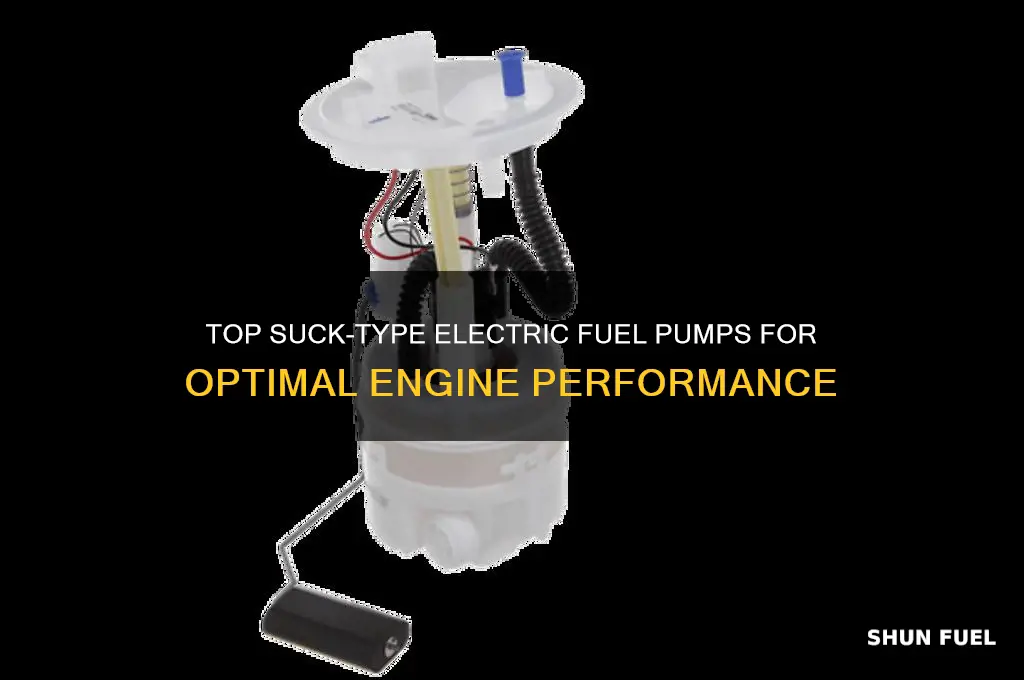 what performace electric fuel pumps are the suck type