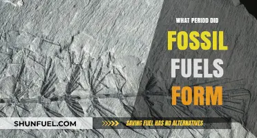 When Did Fossil Fuels Form? Uncovering the Ancient Energy Era