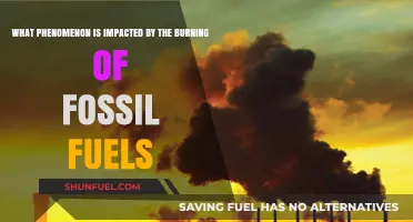 Burning Fossil Fuels: The Devastating Impact on Climate Change