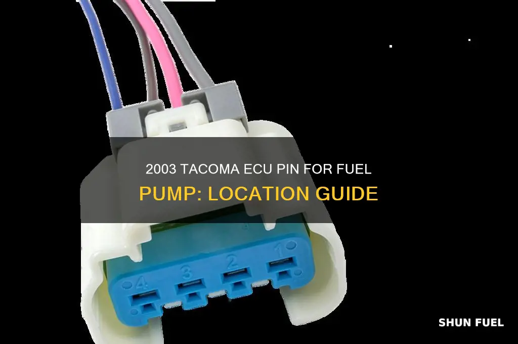 what pin number oin 2003 tacoma ecu for fuel pump