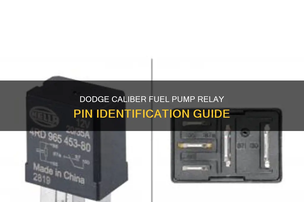 what pins are for fuel pump relay dodge caliber
