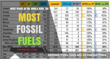 Global Fossil Fuel Giants: Top Regions with Abundant Reserves