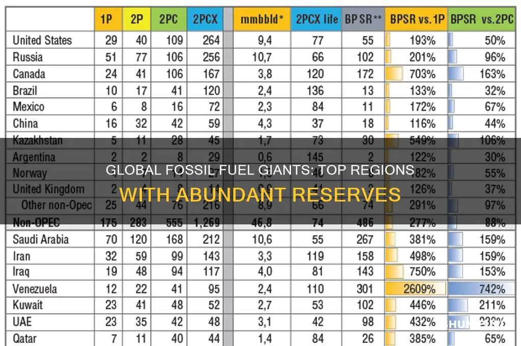 what place in the world have the most fossil fuels