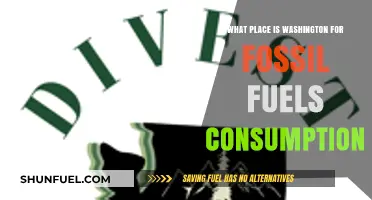 Washington's Fossil Fuel Consumption: Ranking and Environmental Impact