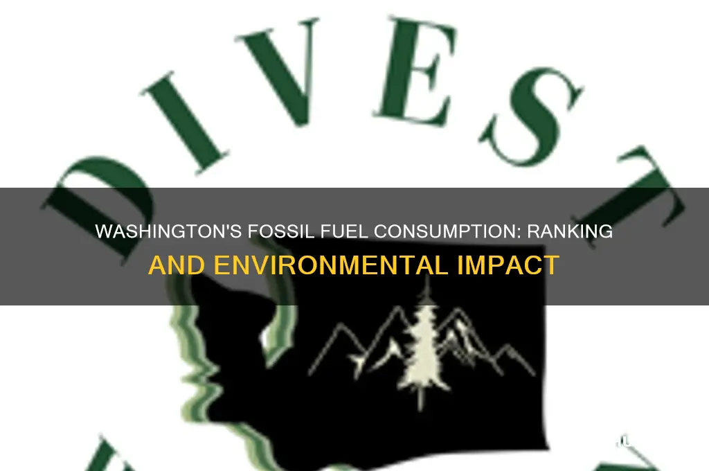 what place is washington for fossil fuels consumption
