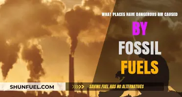 Fossil Fuels' Toxic Legacy: Cities Choking on Hazardous Air Pollution