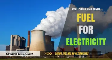 Global Reliance: Countries Still Using Fossil Fuels for Electricity Generation