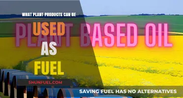 Exploring Renewable Energy: Plant-Based Fuel Alternatives for a Greener Future