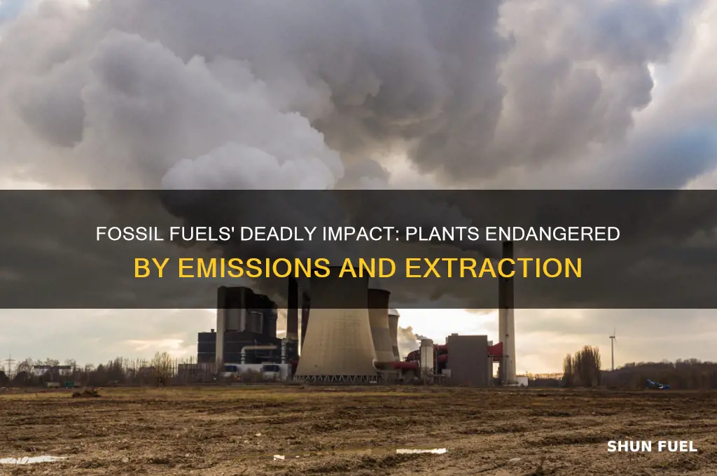 what plants are fossil fuels killing