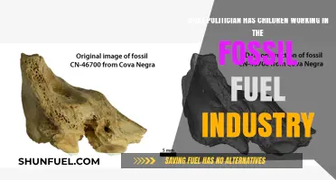 Politicians' Children in Fossil Fuels: Uncovering Industry Ties and Conflicts